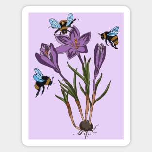 botanical illustration of crocus and bees Sticker